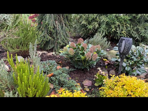 Видео: Садовый сезон продолжается )) Высаженные растения, 2 этаж, планы …