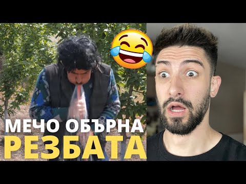 Видео: мечо прави стирки - светът на ванката