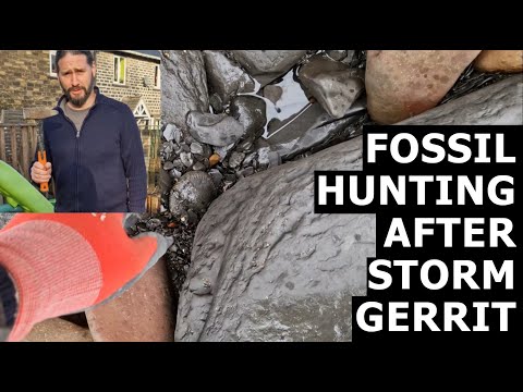 Видео: #охота за ископаемыми после шторма Геррит в заливе Рансуик #Уитби #охотник за ископаемыми нашёл #...