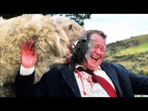 Видео: 📹 Мутацияланған қанішер қойлар алыс фермада нағыз хаос туғызды