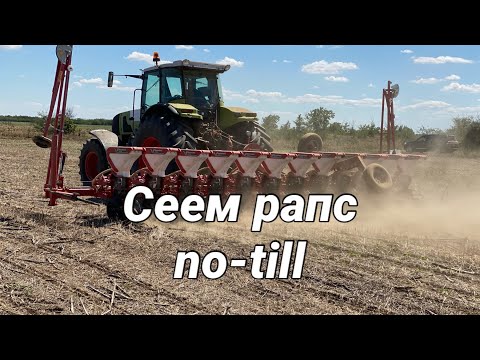 Видео: Сеем рапс на 70 см.по технологии no-till