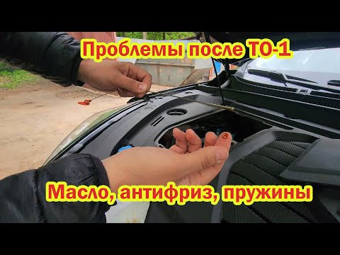 Видео: Проблемы после ТО-1 Chery Tiggo 7 Pro max Масло Пружины Антифриз  отзыв владельца после 10 000 км