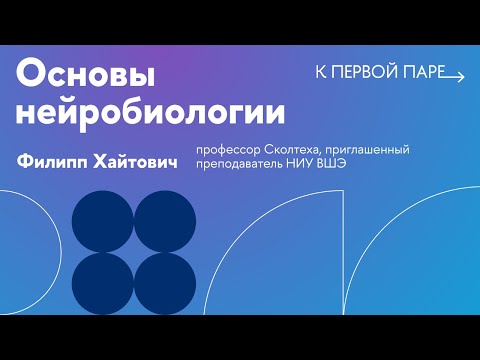 Видео: К первой паре / Основы нейробиологии. Лекция 16. Органы чувств. Зрение. Часть 2