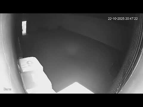 Видео: Тренування