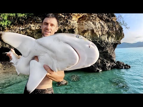 Видео: Офигел что поймал на ОСТРОВЕ АКУЛ. [Часть-8] Выживание на необитаемом новом острове. №33