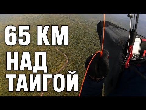Видео: Параплан над осенней тайгой | Полёт 65 км по Приморью