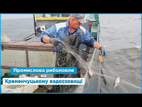 Видео: Промислова риболовля на Кременчуцькому водосховищі у 2022