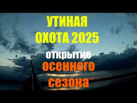 Видео: Утиная охота 2025.  Открытие осеннего сезона
