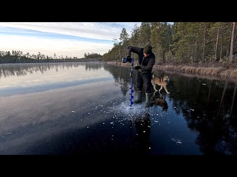 Видео: ПЕРВЫЙ ЛЁД РЫБАЛКА. РЫБАЛКА НА ЖЕРЛИЦЫ. РЫБАЛКА ПОШЛА НЕ ПО ПЛАНУ. ДЛЯ СЧАСТЬЯ НУЖНО ИМЕННО ЭТО