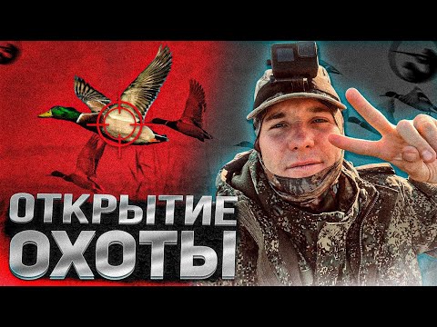 Видео: ОСЕННЯЯ ОХОТА 2025!ОТКРЫТИЕ!ДОБЫЛИ УТКУ В СВЕТЛОМ!