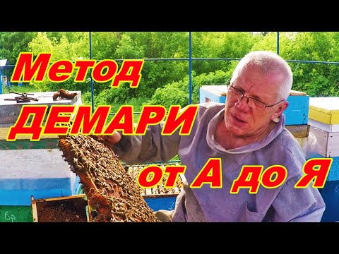 Видео: Борьба с роением пчел Метод Демари наглядно #1