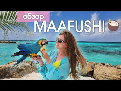 Видео: МАЛЬДИВЫ МЕСТНЫХ | Обзор Маафуши