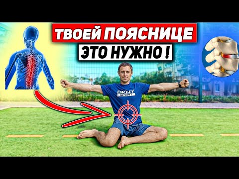 Видео: ТОП 8 упражнений для ПОЯСНИЦЫ и ТАЗА #mobility #поясница #восстановление