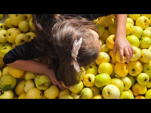 Видео: Германия, наш переезд в новый город,новая квартира, 🍎&🌰,посылка- шуршалка