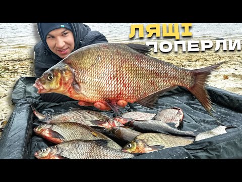 Видео: БІЛЯ ЦІЄЇ ЯМИ ВСЯ РИБА! ШАХЕДИ НАД ГОЛОВОЮ, ЛЯЩІ НЕ ДАЮТЬ СПАТИ!