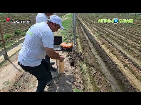 Видео: 📢 Пеш аз оғози кор дар гармхона чӣ бояд кард? Маслиҳати мутахассисро то ба охир мешунавем! 