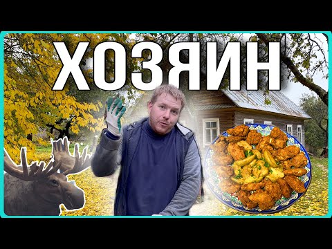 Видео: Жизнь на хуторе. Готовлю острые крылышки в казане на костре. хочувдеревню #хутор #казан #kfc