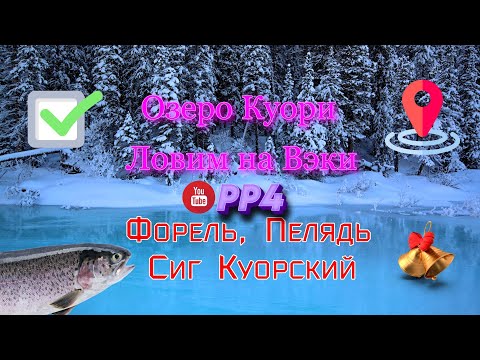 Видео: Озеро Куори • Форель • Пелядь • Сиг •  РР4 • Вэки • Русская рыбалка 4 • 25.01.2024