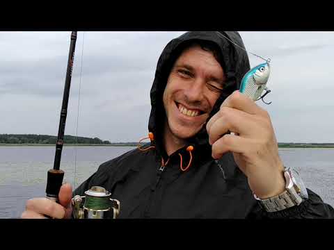 Видео: Лучший джеркбейт по пассивной щуке летом!