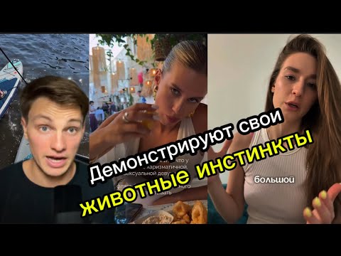 Видео: ПСИХОЛОГИЧЕСКИЙ разбор ТРЕШОВЫХ рилсов | В мире ЖИВОТНЫХ