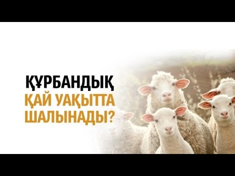 Видео: Құрбандық қай уақытта шалынады?