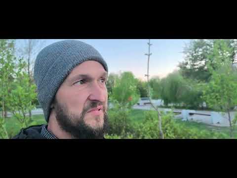 Видео: Павловниевая Беларусь - мои питоНцы цветут, не прошло и 5 лет