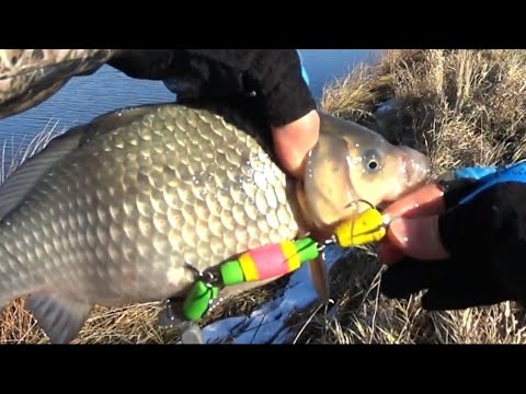 Видео: 29.10.25,Сокола,часть вторая.