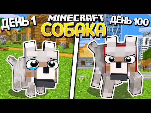 Видео: Я прожил 100 дней за СОБАКУ в Майнкрафт...