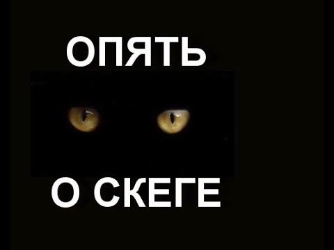 Видео: СКЕГ. ОБЗОР И РЕАЛЬНЫЕ  ПОЛЬЗОВАТЕЛИ