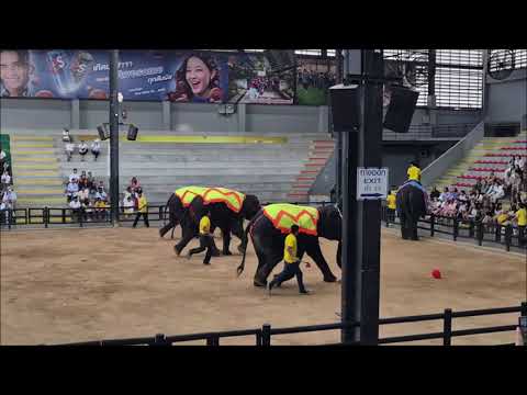 Видео: В Тайланд с Марина