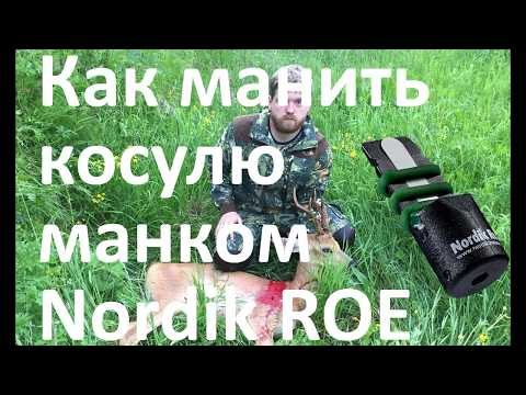 Видео: Манок Nordik ROE охота на косулю (как манить косулю) ДОБЫЛИ КОЗЛА!