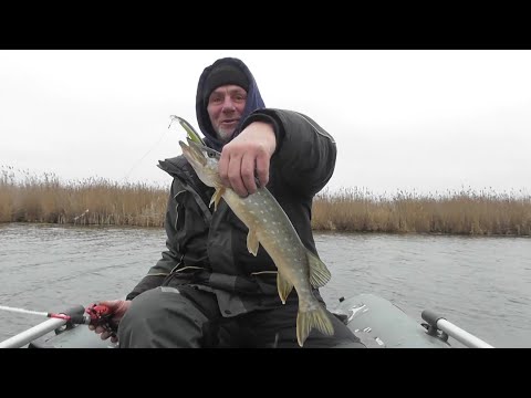 Видео: Зимний спиннинг на реке. Рыбалка в Беларуси 2025.