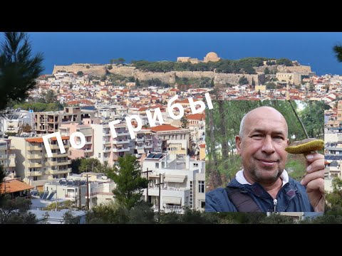 Видео: Съедобные грибы на Крите Rethymno news
