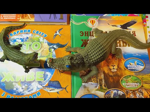 Видео: КРОКОДИЛЫ И НОВЫЕ ЭНЦИКЛОПЕДИИ🐊