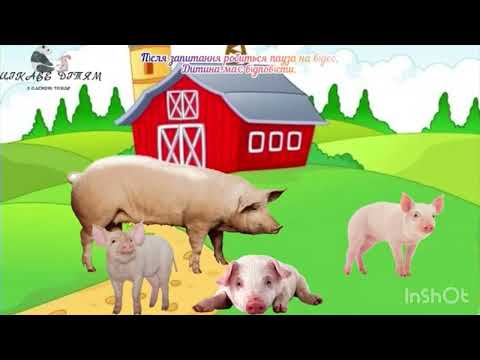 Видео: Розвиток мовлення 08.10.25