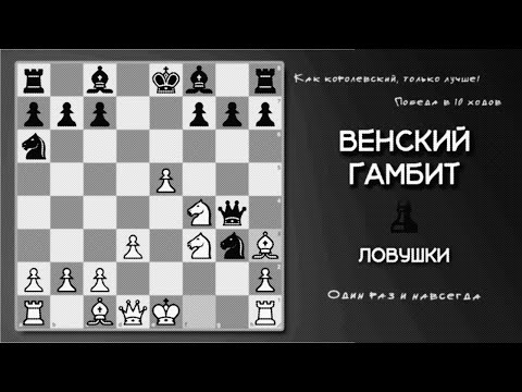 Видео: Венский гамбит - Лучший выбор для тех, кто любит атаку!