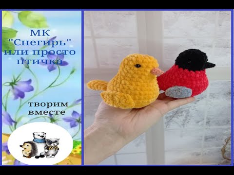Видео: МК "Снегирь" или просто птичка.
