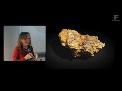 Видео: Арт завтрак Все то золото, что блестит? Музей золота Лима