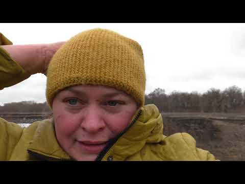 Видео: Укрывать или не укрывать кусты клубники на зиму