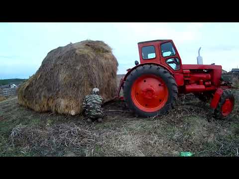 Видео: ФРЕЗА ВЕРАКС В РАБОТЕ Т40 в паре везут зарод