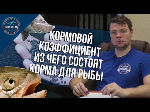 Видео: Кормовой коэффициент. Из чего состоят корма для рыбы (осетра)