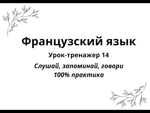 Видео: 14. Французский язык. Урок-тренажер 14. Практический курс для начинающих.