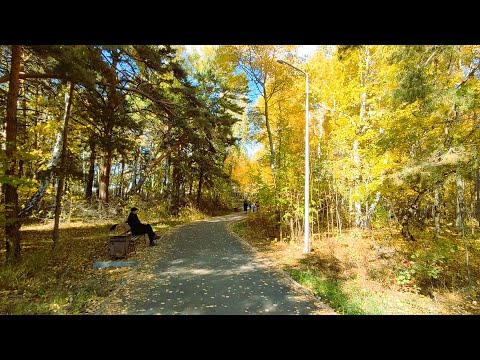 Видео: Молодость моя Степногорск [Документальный фильм] #6
