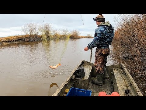 Видео: Рыбалка на паук! Кому-то ВСЁ, а кому-то КАРАСИ! Рыба есть - но не у всех!  Рыбалка 2022