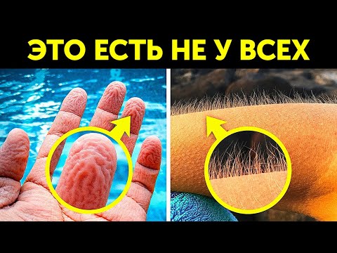 Видео: 60+ фактов о теле, чтобы блеснуть на уроке биологии