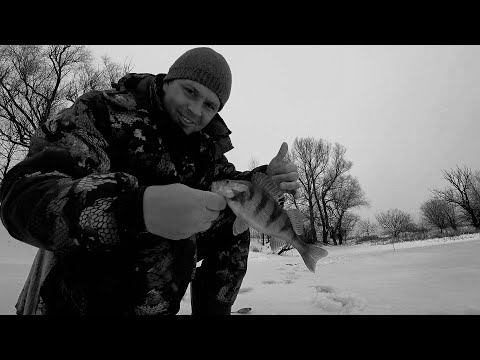 Видео: Продолжаю искать рыбу.  И я её нашёл!  Февраль глухозимье.