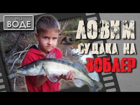 Видео: Что можно поймать за 2 часа?! Рыбалка с сыном.