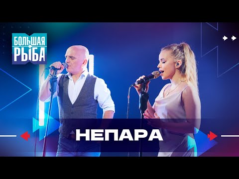 Видео: НЕПАРА. Концерт | Живой звук