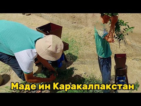 Видео: Кенесли агамыз барин майдалайтын маде ин Каракалпакстан дровилкамызды сатып алды тамаша етемиз