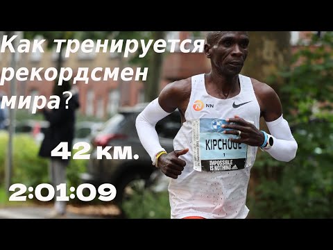 Видео: Элиуд Кипчоге. Как тренируется лучший в мире марафонец!?